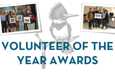 2020 Volunteer of the Year Awards