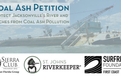 Citizens Call for Action After Toxic Coal Ash Spill