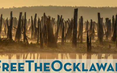 Urgent Action Alert for the Ocklawaha