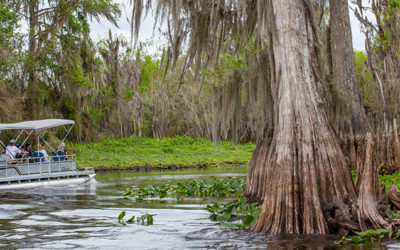 Up Close and Personal: Tour the Ocklawaha