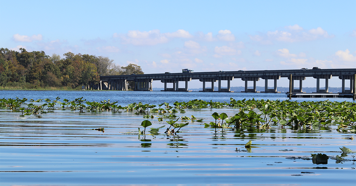 St. Johns River from Camp Chowenwaw Park in Clay County