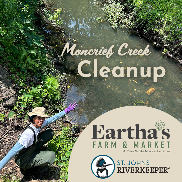 Moncrief Creek Cleanup