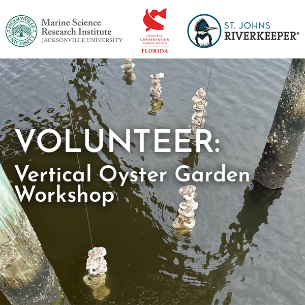 Volunteer Vertical Oyster Garden Workshop