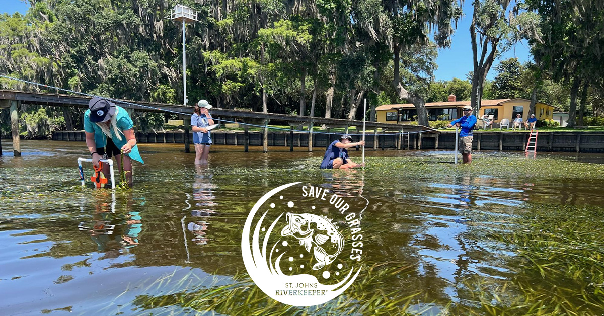 Save River Rice August Expedition Summary: SAVe Our River's Grasses - St. Johns Riverkeeper