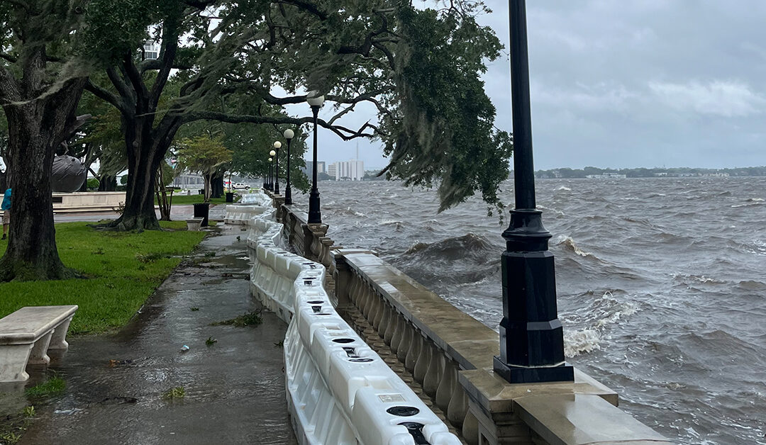 Hurricane Debby at Memorial Park in Jax