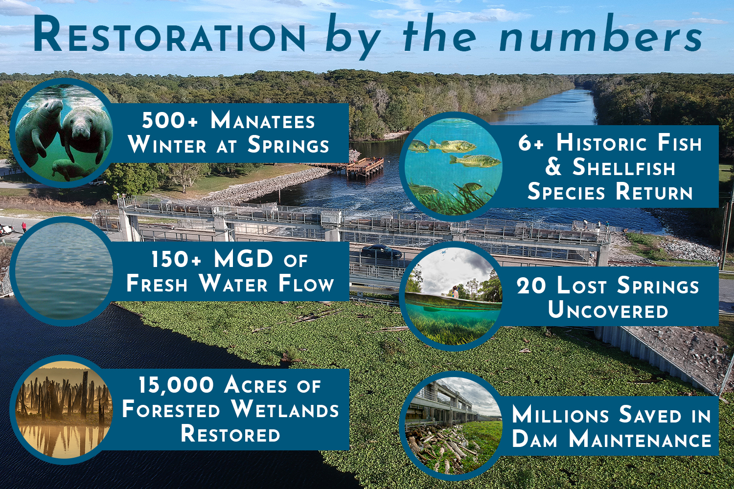 Restoration By the Numbers