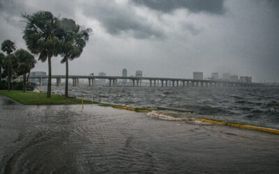 Flooding Risk to the St. Johns River Watershed: Hurricane Milton