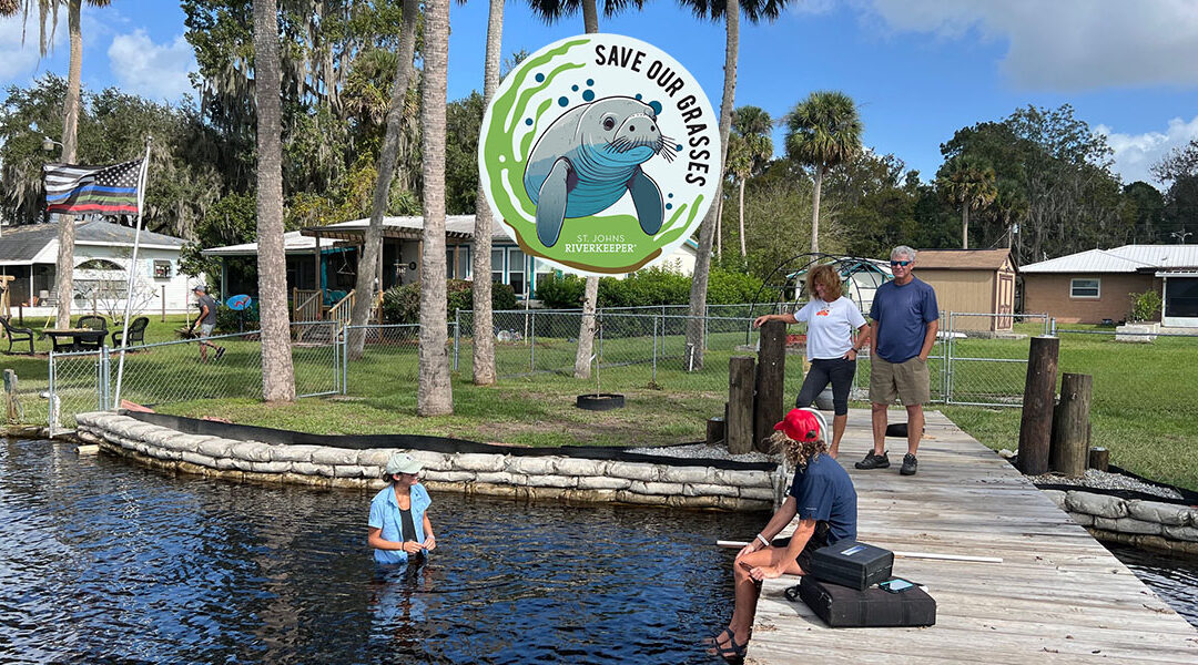 SAVe Our River’s Grasses: October 2024 Field Visit