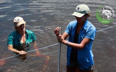 Year 2: SAVe Our River’s Grasses