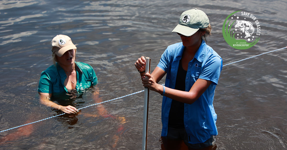 Home St Johns Riverkeeper