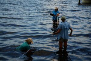 SJRK Advocacy team in the river in August 2024 for the SAVe Our River's Grasses Expedition