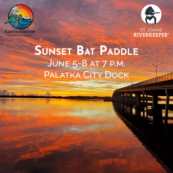 sunset bat paddle