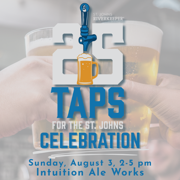 25 Taps