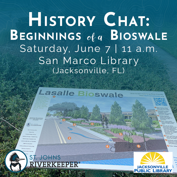History Chat: Beginnings of a Bioswale