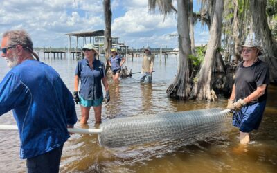 Expanding Effort to Restore River Habitat