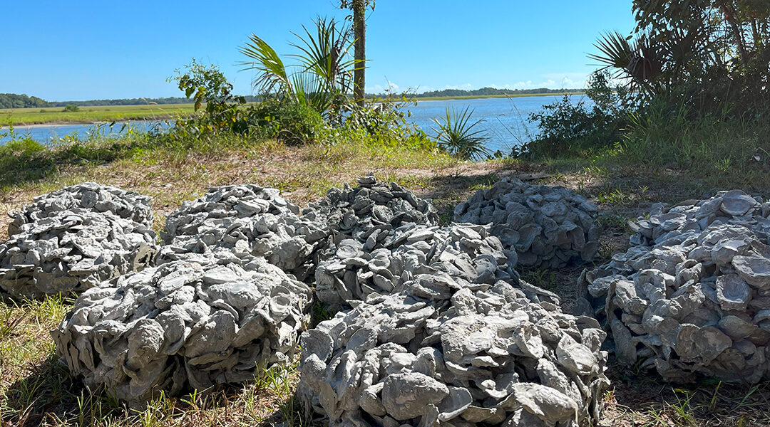 Northeast Florida Environmental Conservation Fund Awards First Grant for an Oyster Reef on the Trout River