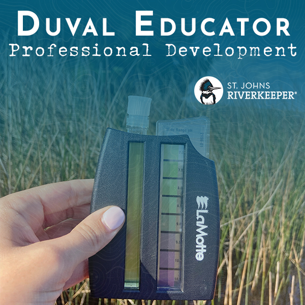 Educator PD Summer 2025