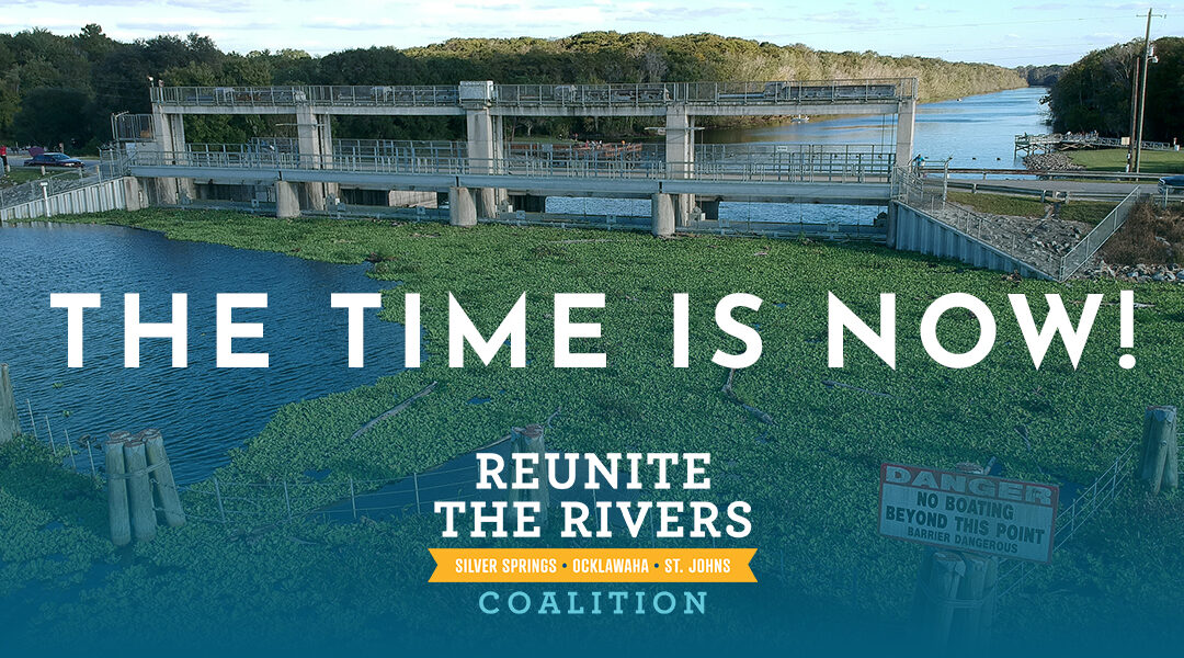 Historic Opportunity to Restore the Ocklawaha: Take Action!