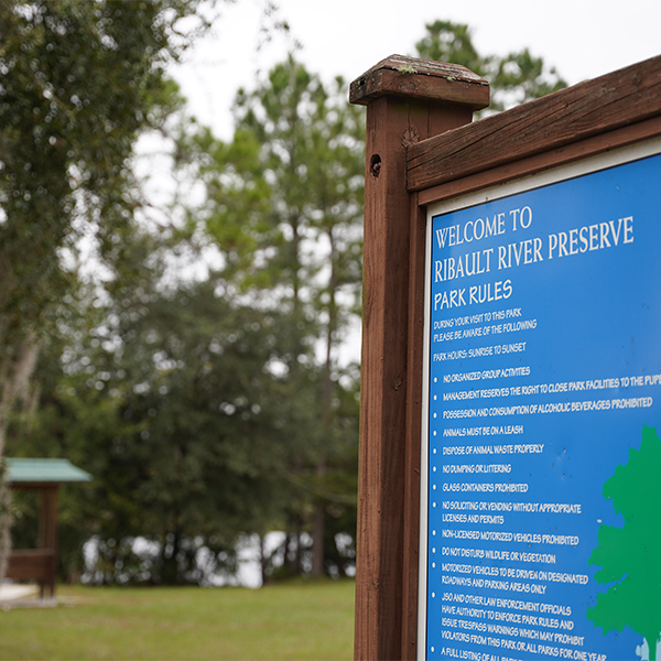Ribault River Preserve