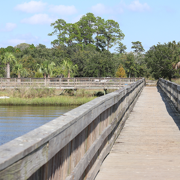 Blue Cypress Park boardwalk