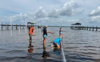 May 2025 SAVe Our River’s Grasses Expedition Breakdown