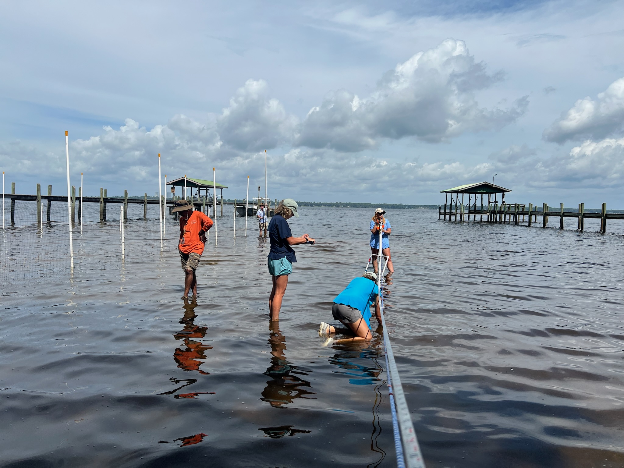 Save River Rice May 2025 SAVe Our River’s Grasses Expedition Breakdown - St. Johns ...