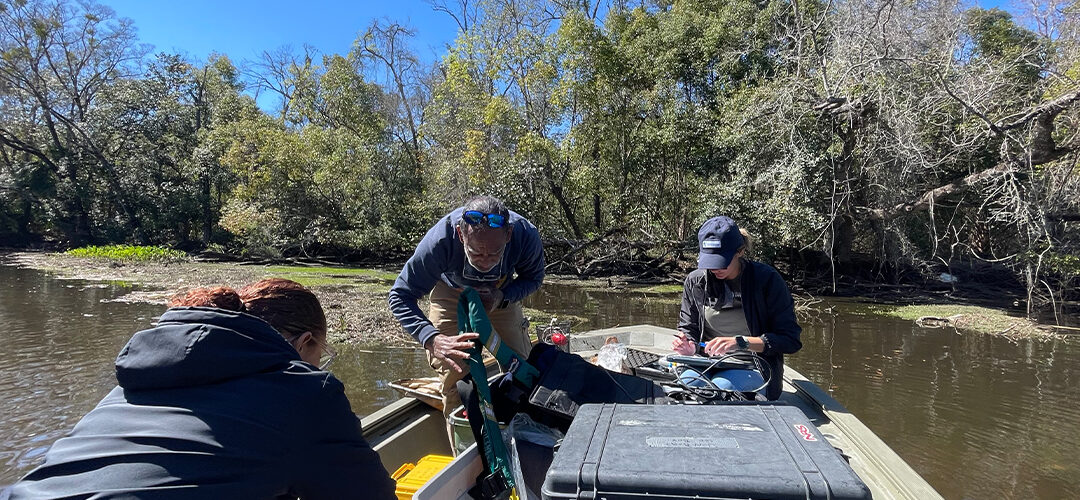 Resilient Ribault: Environmental Quality Assessment Underway