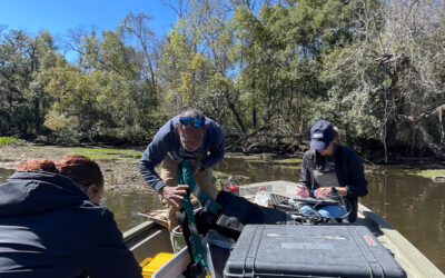 Resilient Ribault: Environmental Quality Assessment Underway