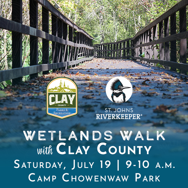 Wetlands Walk