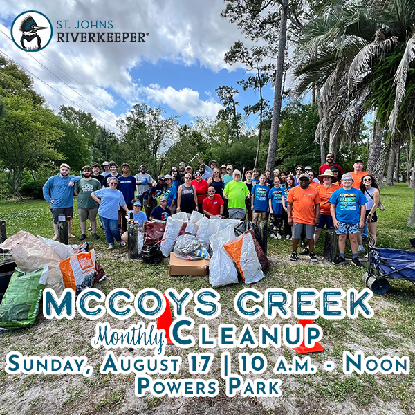 McCoys Creek Cleanup