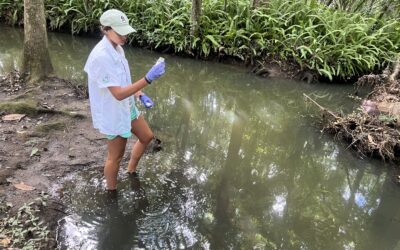 National Water Quality Month