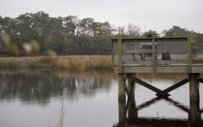 Lawsuit Filed to Protect Floridians from Toxic Chemicals