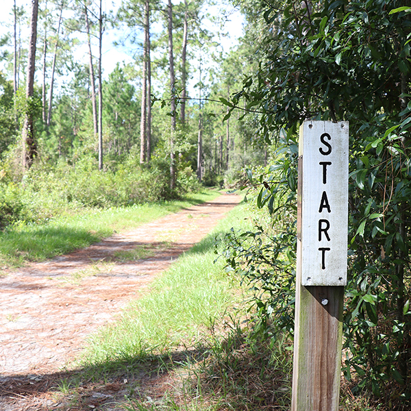 Start sign at Julington-Durbin Creek Preserve trail