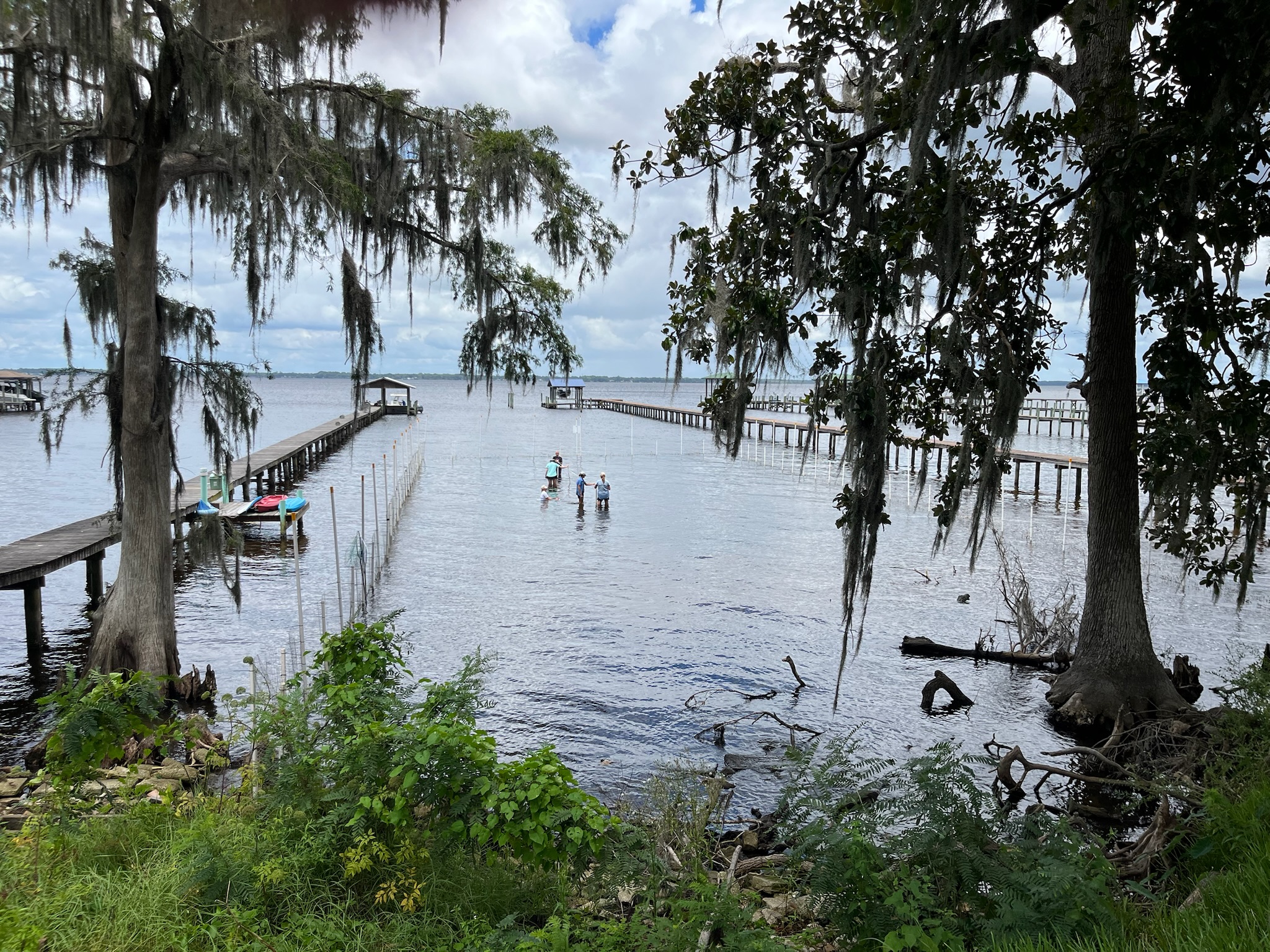 Team in the water at Fruit Cove