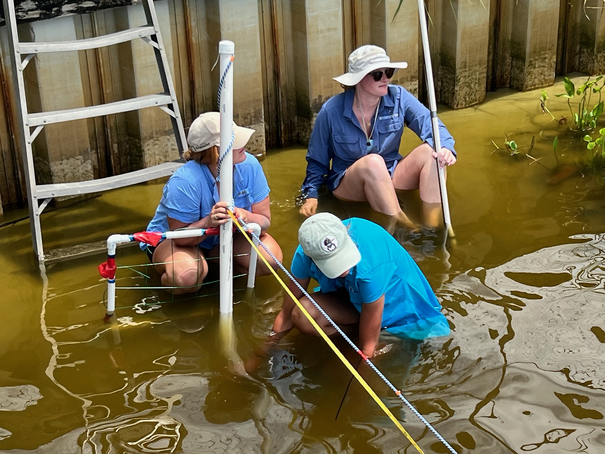 team taking SAV measurements