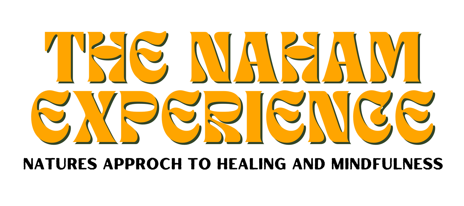 The Naham Experience logo