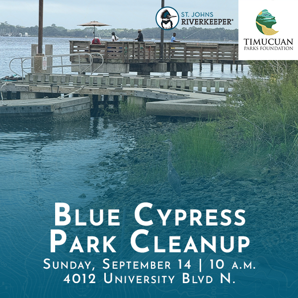 Blue Cypress Park Cleanup