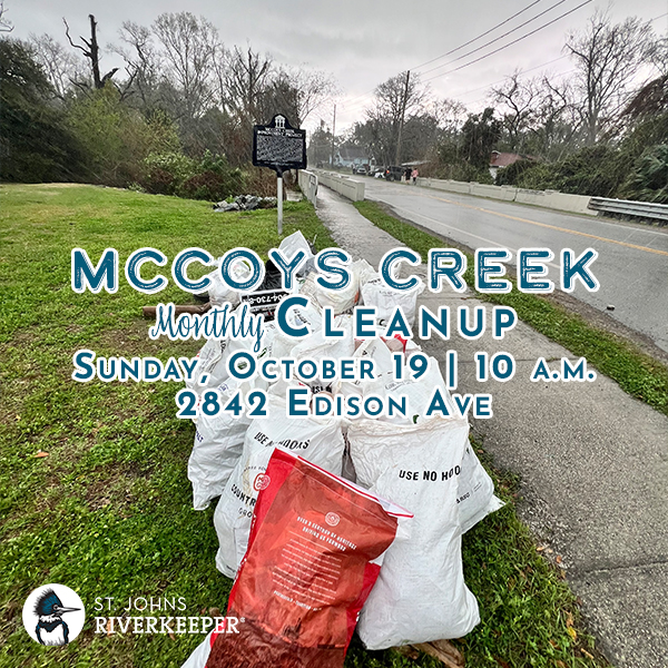 October McCoys Creek Cleanup