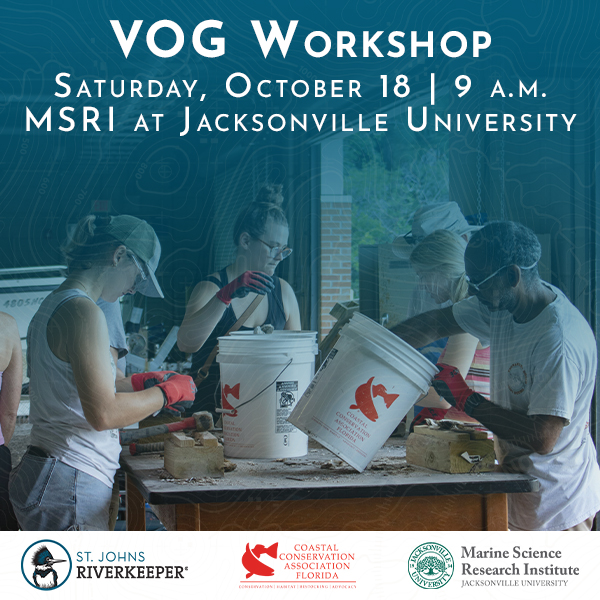 VOG Workshop