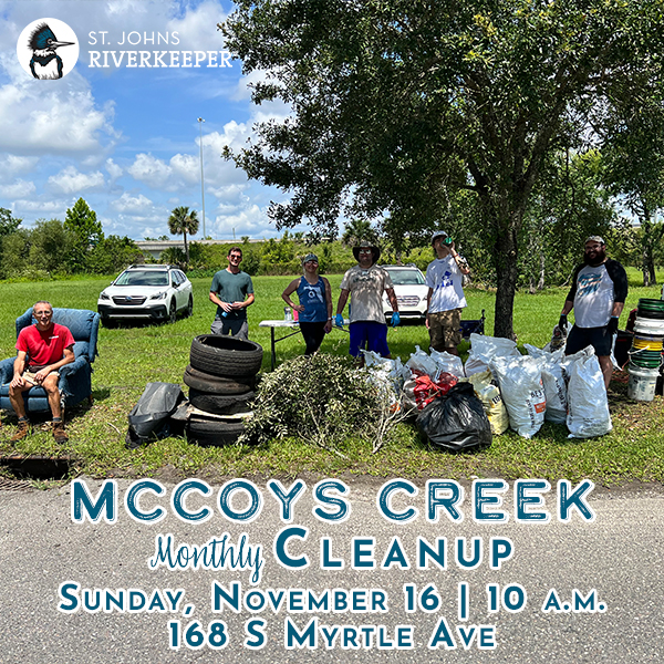 McCoys Creek Cleanup Nov 2025