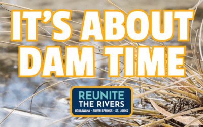 It’s About Dam Time