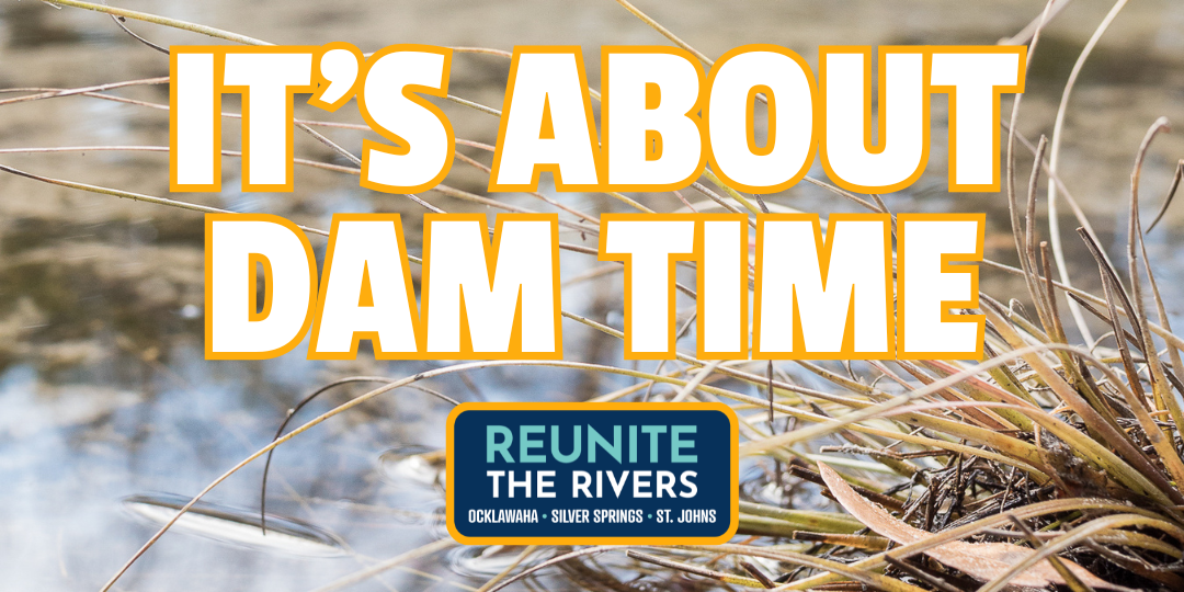 It’s About Dam Time