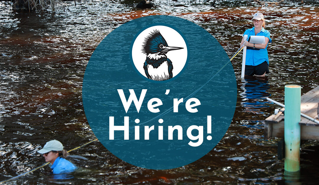 We’re Hiring: Headwaters Watershed Specialist