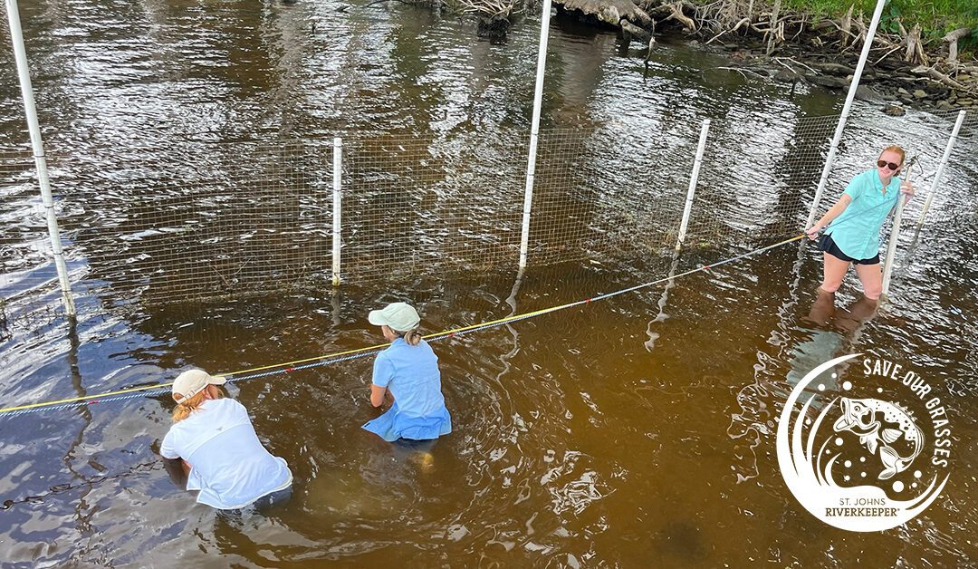 Watershed-Wide Crisis Requires A Watershed Movement