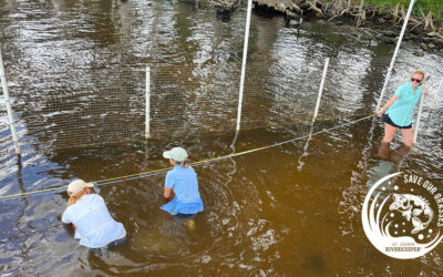 Watershed-Wide Crisis Requires A Watershed Movement