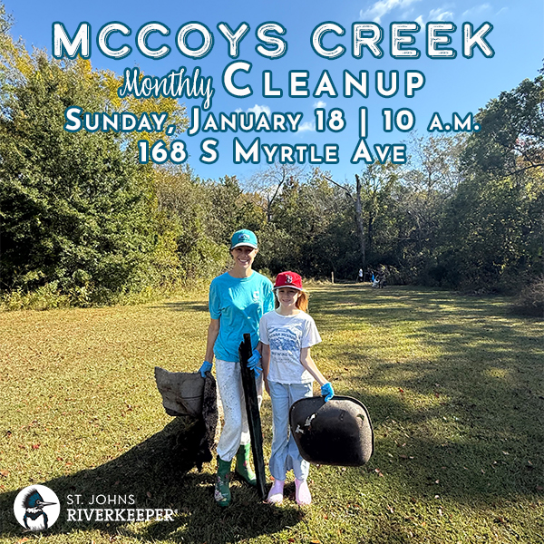 McCoys Creek Cleanup