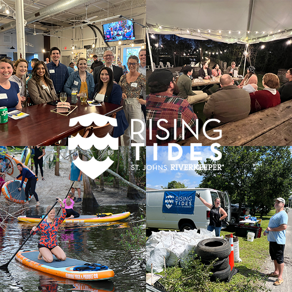 Rising Tides Collage