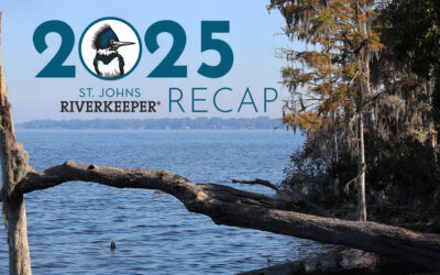 2025 St. Johns Riverkeeper Recap