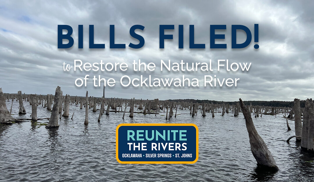 Bills Filed to Restore the Ocklawaha