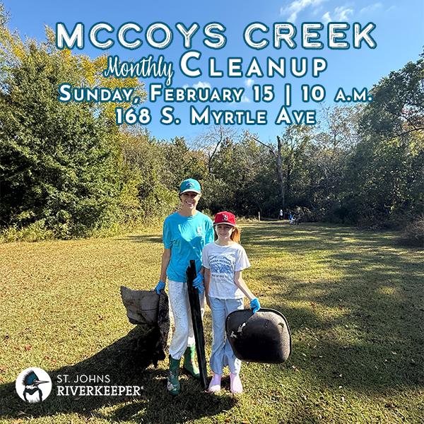 McCoys Creek
